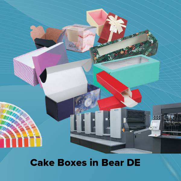 Cake boxes in bear de