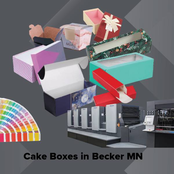 Cake boxes in becker mn