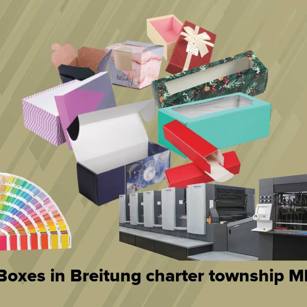 Cake boxes in breitung charter township mi