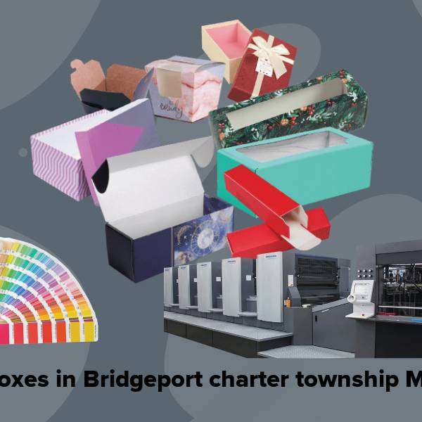 Cake boxes in bridgeport charter township mi