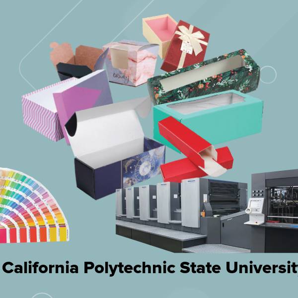 Cake boxes in california polytechnic state university ca