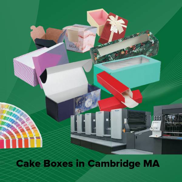 Cake boxes in cambridge ma