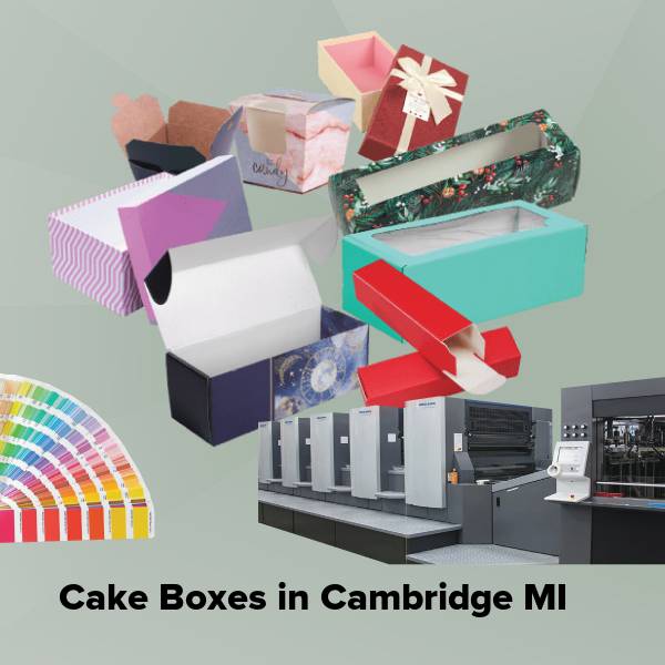 Cake boxes in cambridge mi