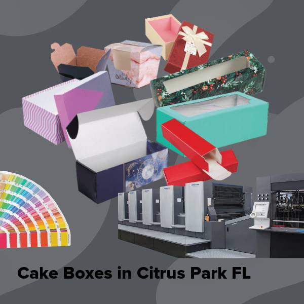 Cake boxes in citrus park fl