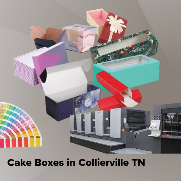 Cake boxes in collierville tn