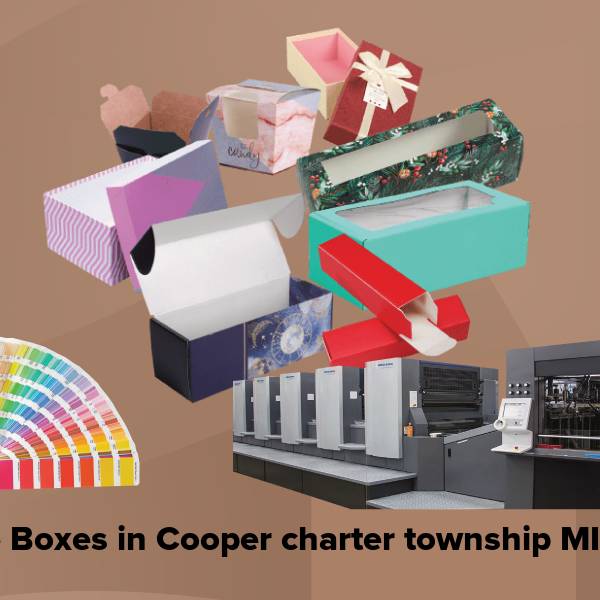 Cake boxes in cooper charter township mi