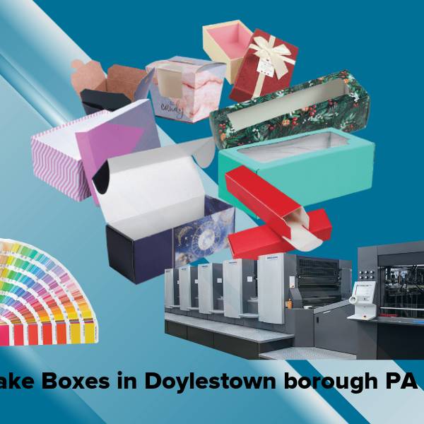 Cake boxes in doylestown borough pa