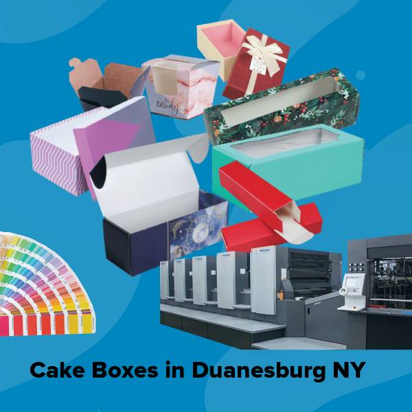 Cake boxes in duanesburg ny