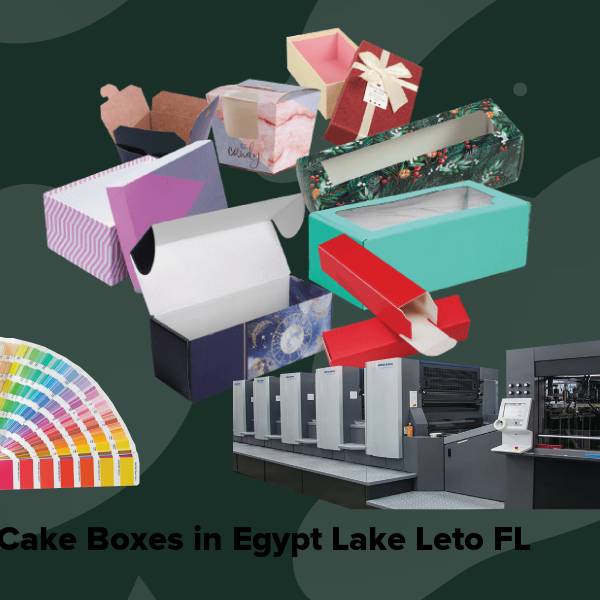 Cake boxes in egypt lake leto fl