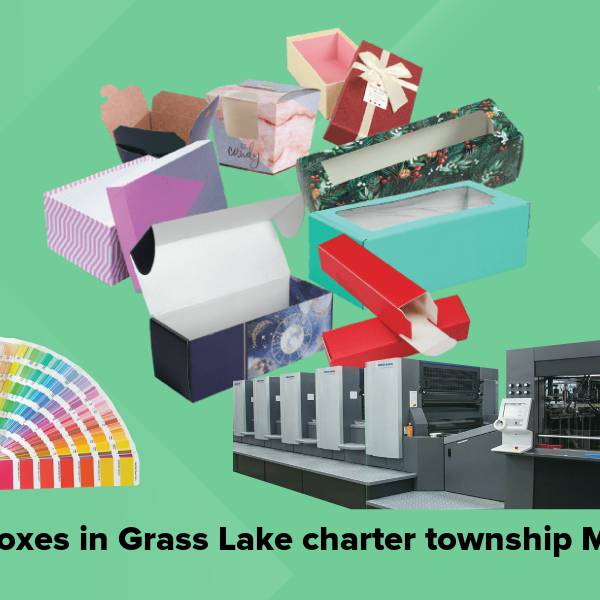 Cake boxes in grass lake charter township mi