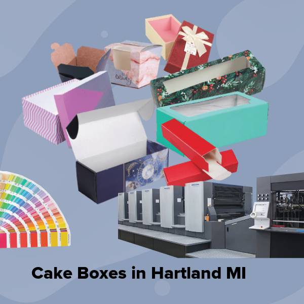 Cake boxes in hartland mi
