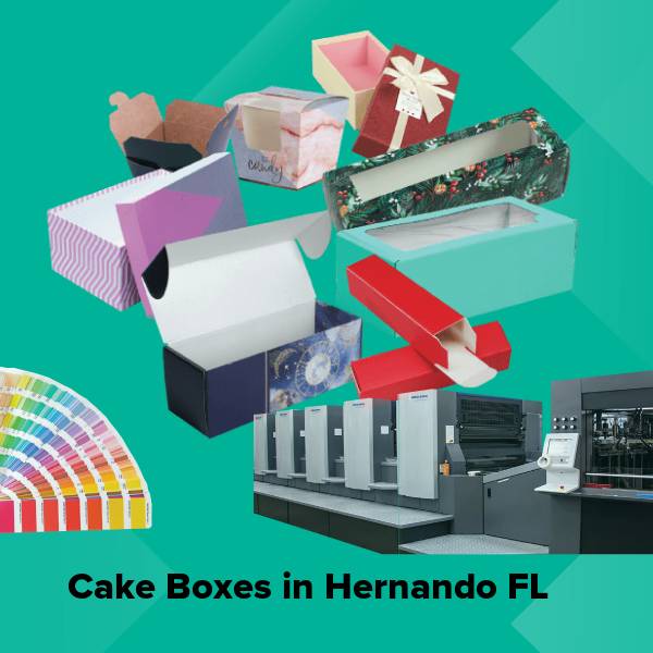 Cake boxes in hernando fl
