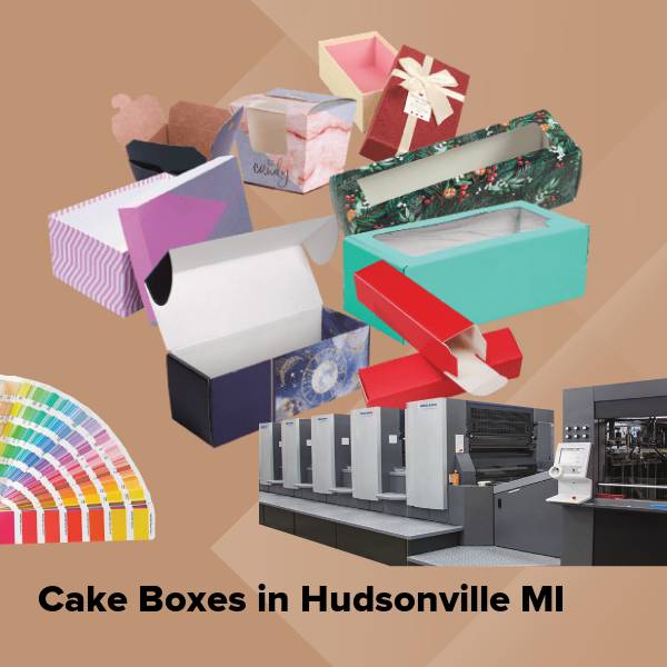 Cake boxes in hudsonville mi