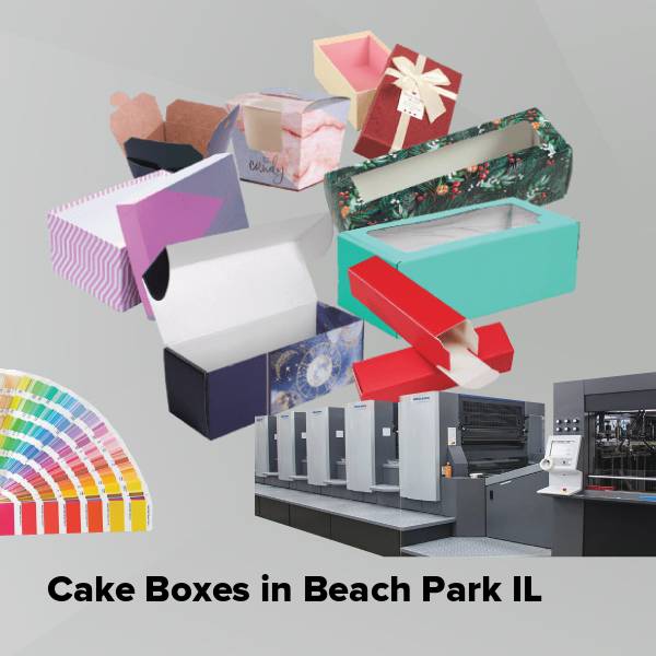 Cake boxes in beach park il