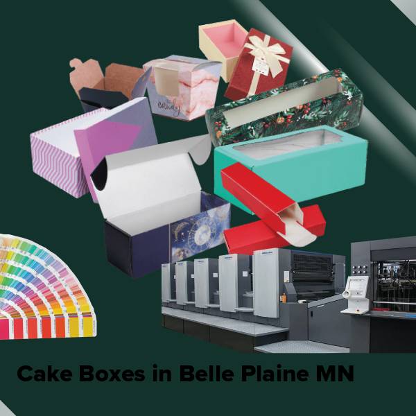 Cake boxes in belle plaine mn
