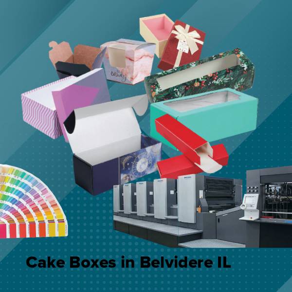 Cake boxes in belvidere il