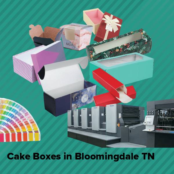 Cake boxes in bloomingdale tn