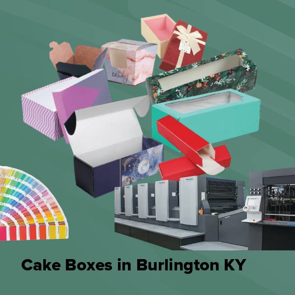 Cake boxes in burlington ky