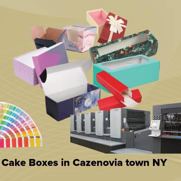 Cake boxes in cazenovia town ny