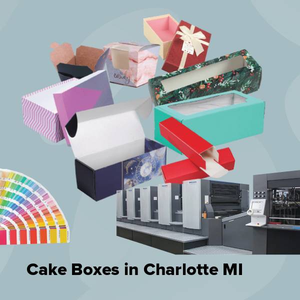Cake boxes in charlotte mi