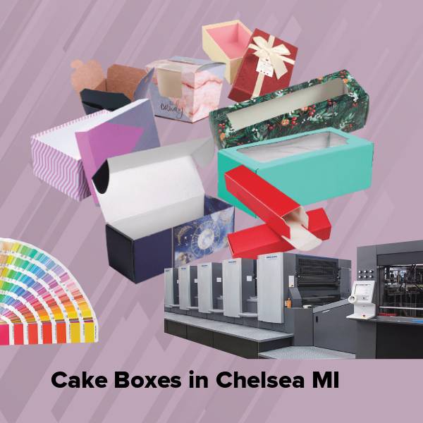 Cake boxes in chelsea mi