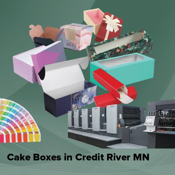 Cake boxes in credit river mn