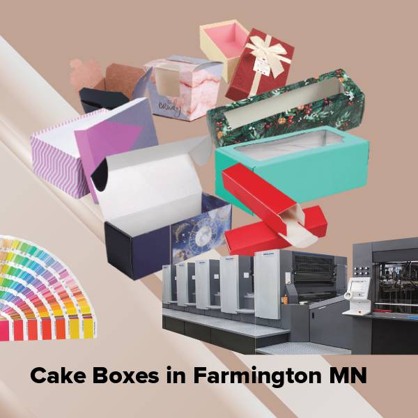 Cake boxes in farmington mn