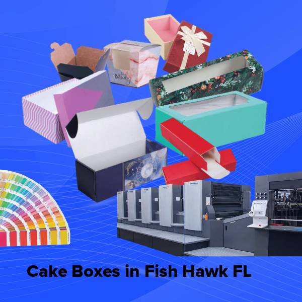 Cake boxes in fish hawk fl