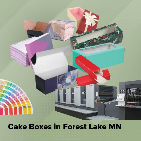 Cake boxes in forest lake mn