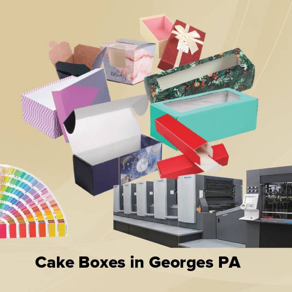 Cake boxes in georges pa
