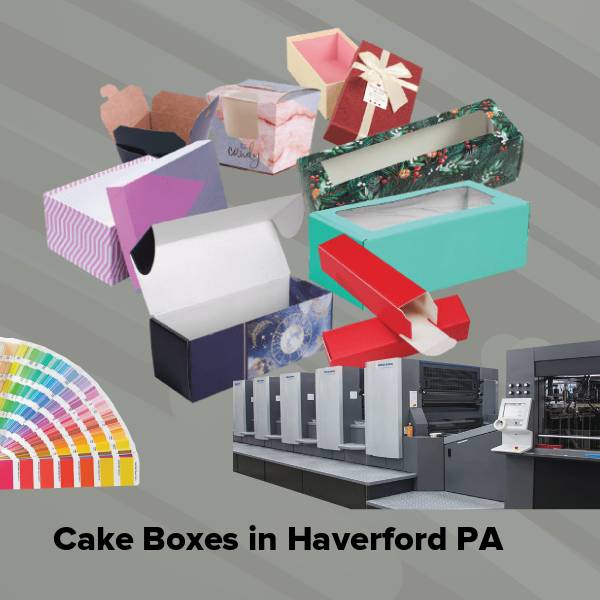 Cake boxes in haverford pa