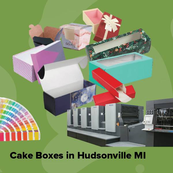 Cake boxes in hudsonville mi