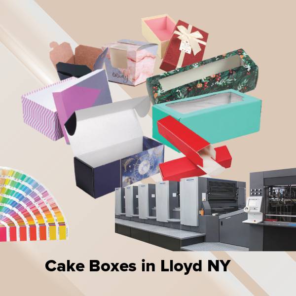 Cake boxes in lloyd ny