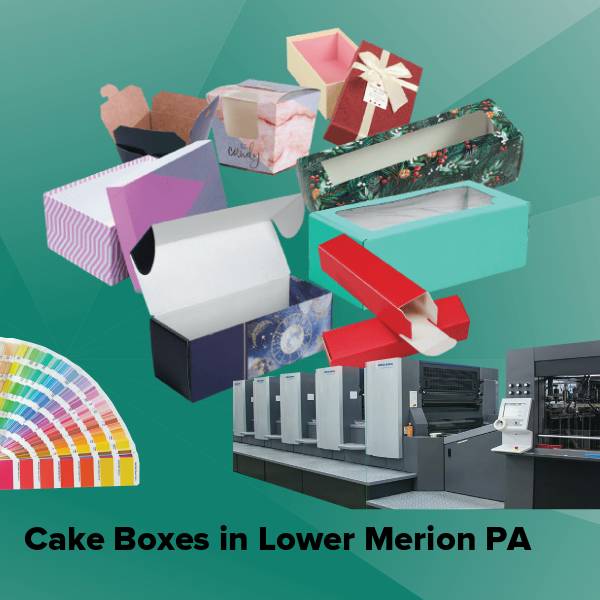 Cake boxes in lower merion pa
