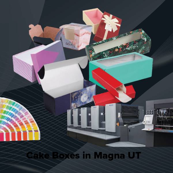 Cake boxes in magna ut