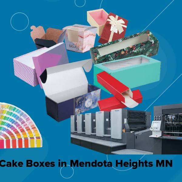 Cake boxes in mendota heights mn