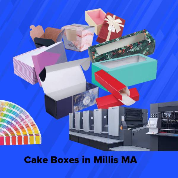 Cake boxes in millis ma