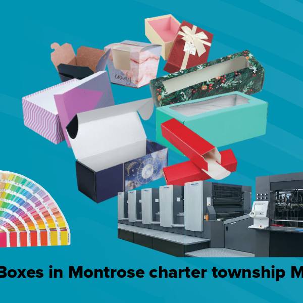 Cake boxes in montrose charter township mi