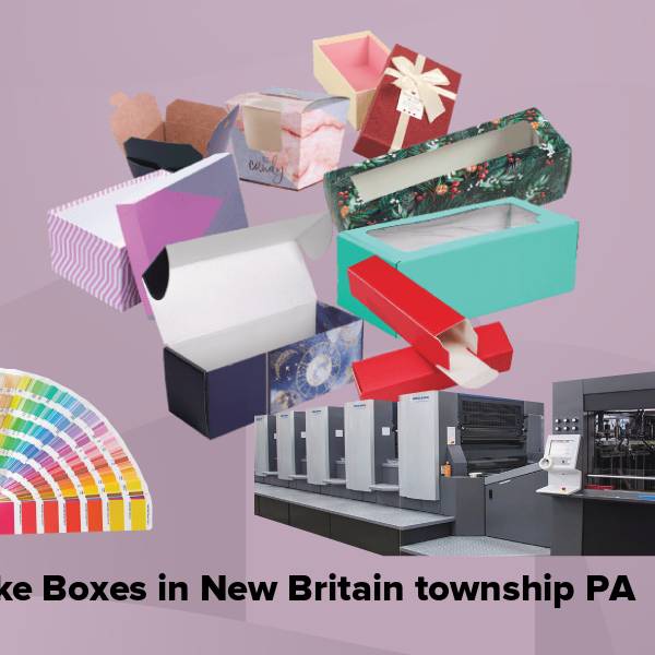 Cake boxes in new britain township pa