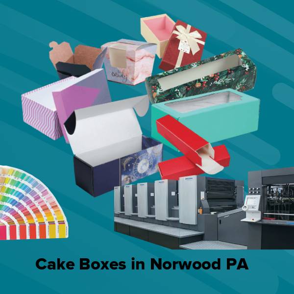 Cake boxes in norwood pa