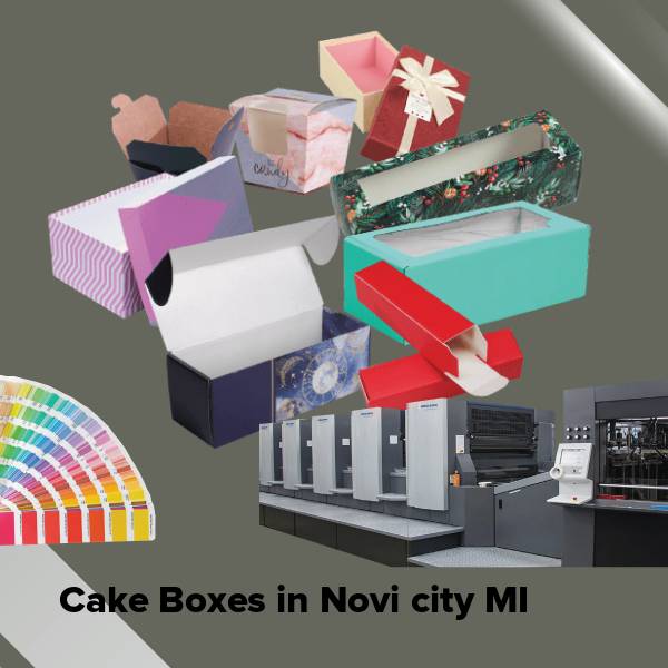 Cake boxes in novi city mi