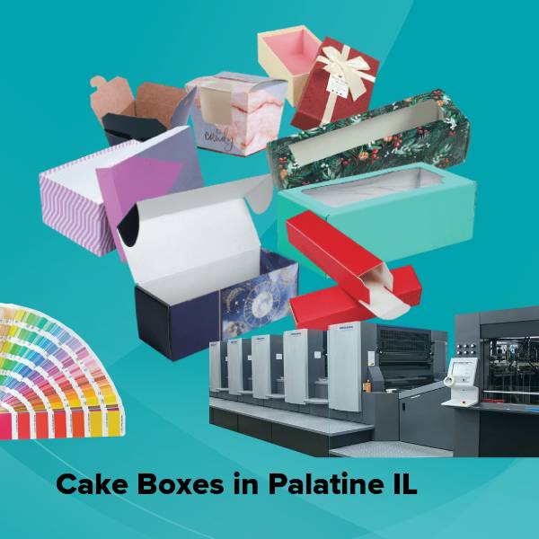 Cake boxes in palatine il