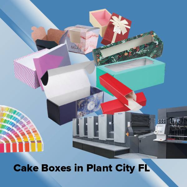 Cake boxes in plant city fl