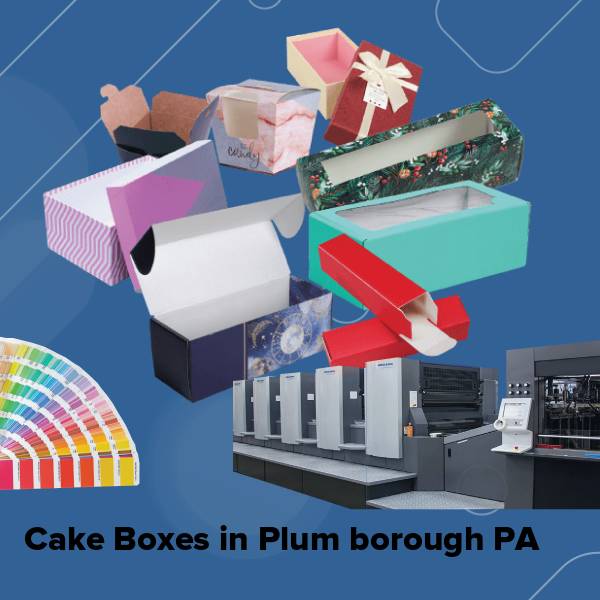 Cake boxes in plum borough pa