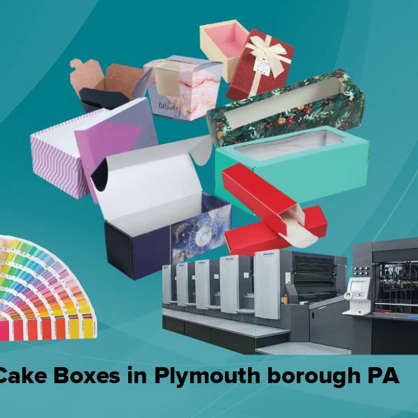Cake boxes in plymouth borough pa