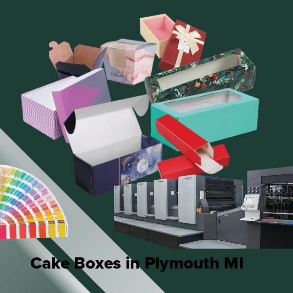 Cake boxes in plymouth mi
