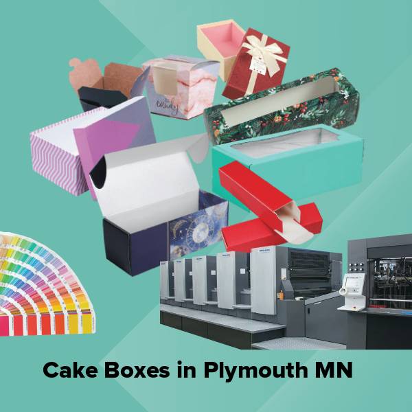 Cake boxes in plymouth mn