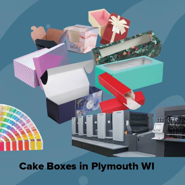 Cake boxes in plymouth wi
