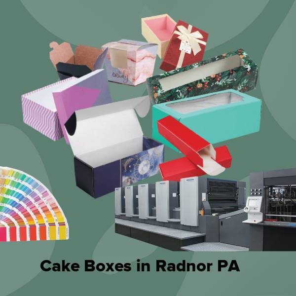 Cake boxes in radnor pa