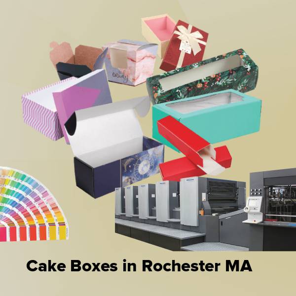 Cake boxes in rochester ma